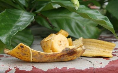 Usos de la cascara de banana que desconocía