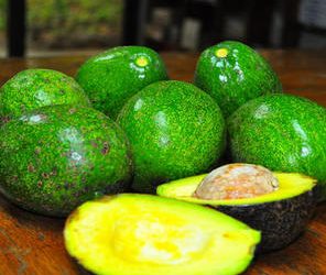 ESTOS AGUACATES ‘LIGHT’ VAN A REVOLUCIONAR LA DIETA ESPAÑOLA