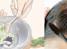 ELIMINA LAS CANAS COMO POR ARTE DE MAGIA CON ESTOS SECRETOS NUNCA ANTES VISTOS