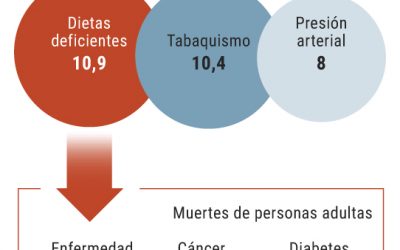 La mala alimentación mata a más gente en el mundo que el tabaco