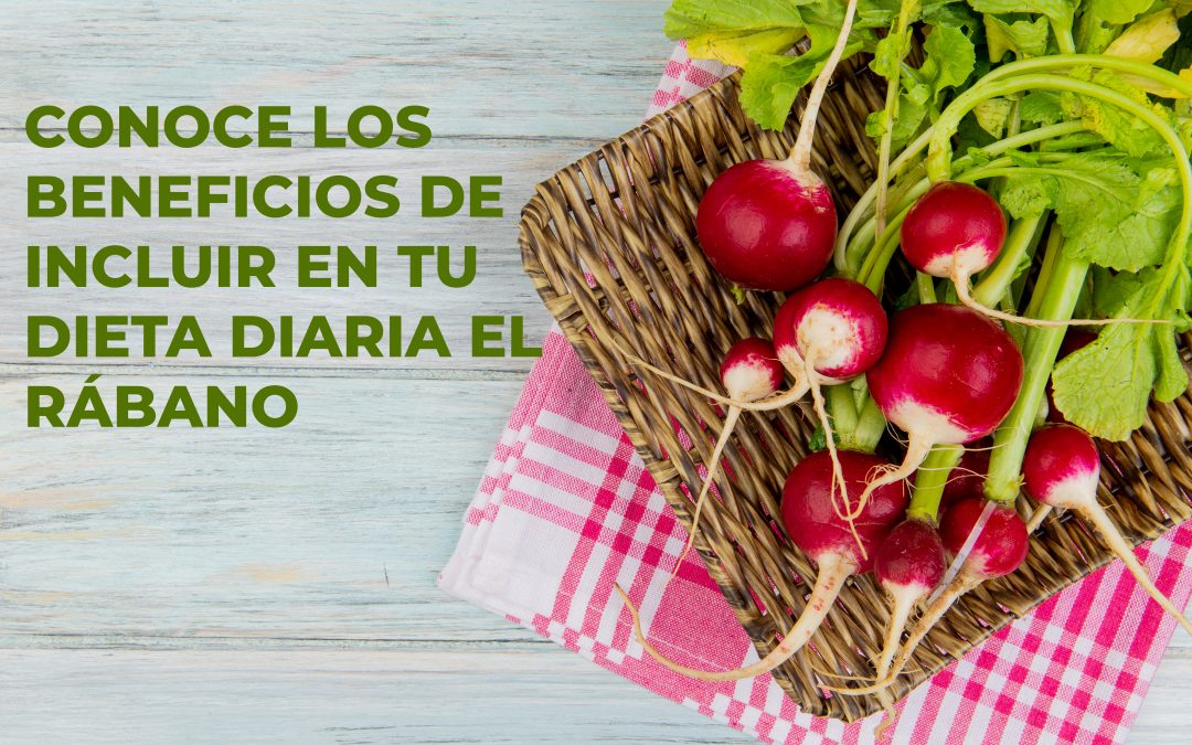 Conoce los beneficios de incluir en tu dieta diaria el rábano, un  superalimento