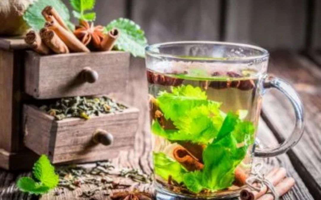 Hierba milagrosa: Descubre por qué tomar té de cilantro por un mes puede salvarte la vida ¡Lo amarás!