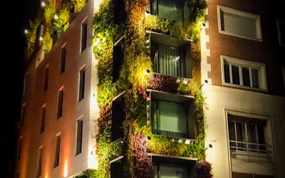 Jardines verticales en Madrid: asombrosas obras maestras del paisajismo urbano mundial